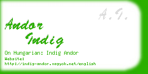 andor indig business card